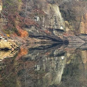 Gravity of Knowin’ for The Grizzly Rose