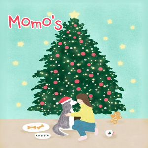 솔크도 나쁘지 않아