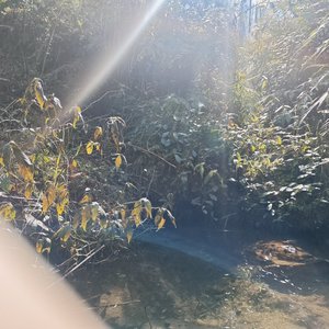 月碎成雨(节奏版