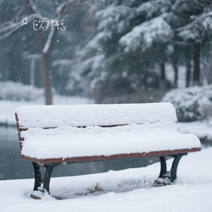 愿冬雪知我意