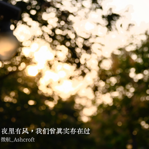 夜里有风，我们曾真实存在过