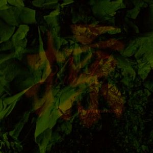 “ 掠 ” |【 Free Beat】| By CONGBAOXIAOWENYA