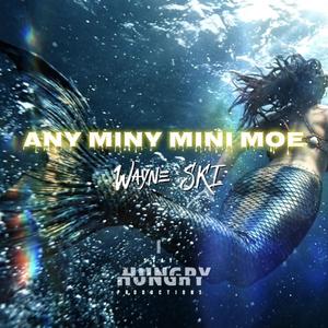 Any Miny Mini Moe