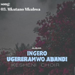 Mkutano Mkubwa