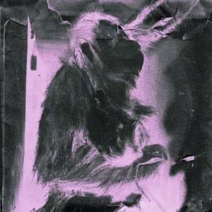 Wanneer (Ik Zo Blijf)