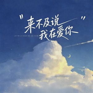 来不及说我在爱你