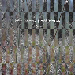 Walking In The Folly