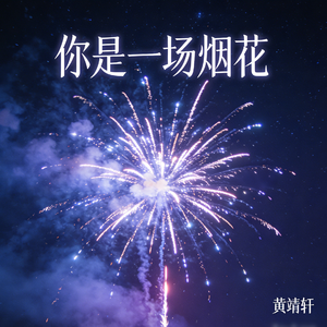 你是一场烟花