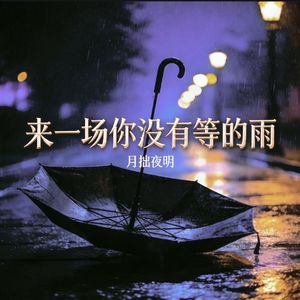 来一场你没有等的雨