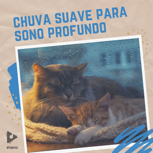 Gotejamento Cai Toda a Manhã