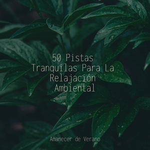 La Ciudad de los Sueños Cenicientos