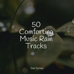 Forest Sounds (Birds)