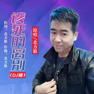 该死的离别 (DJ版)