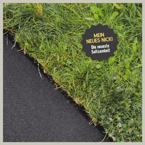 Die neueste Seltsamkeit