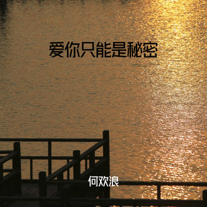 爱你只能是秘密