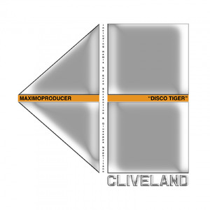 Disco Tiger (Enzo Sorrentino, Giuseppe Napolitano Remix)