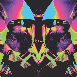 B.T.T.T.R.Y (Bag Raiders Remix)