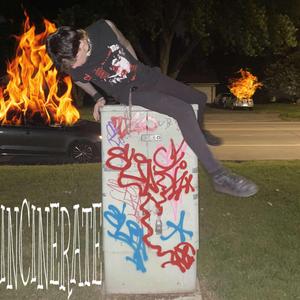 INCINERATE