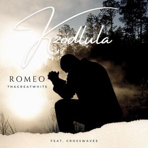 Kzodlula (feat. Crosswavee)