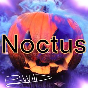 Noctus