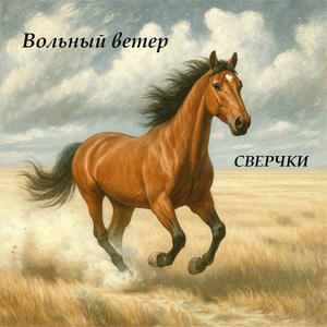Вольный ветер