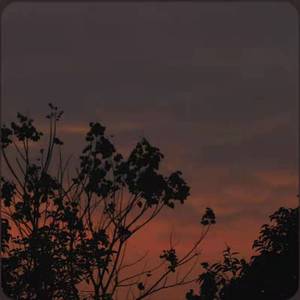 亲.密.无.间（Prod.XVIBE）