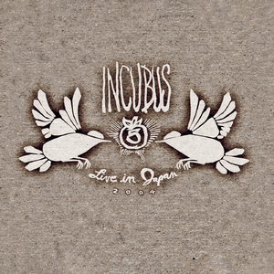 Vitamin (Live at Nippon Budokan, Tokyo, Japan - March 2004)