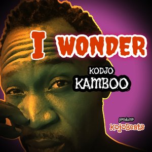 I Wonder