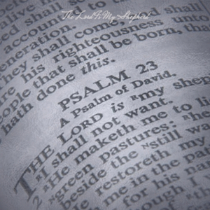 Each Ring Of The Hammer