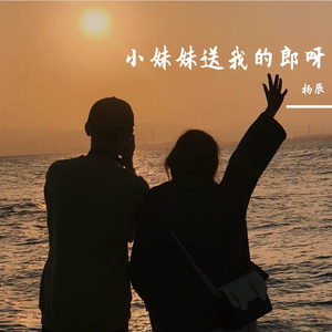 我多想回到家乡(DJ杨辰版)