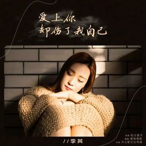 爱上你却伤了我自己