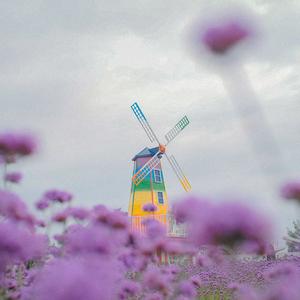 你不是第一个离开的人