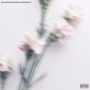 woulditkillyoutoletyourhairdown?