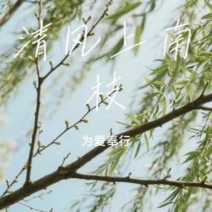 清风上南枝 (Cover 榴莲妹)