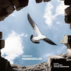 Mauersegler (feat. Coco Aikura & Johann Sundermeier)
