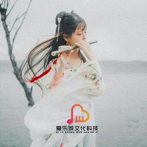 空山静 (笛子独奏)