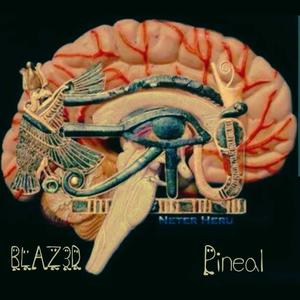 PINEAL