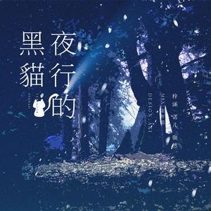 夜行的黑猫