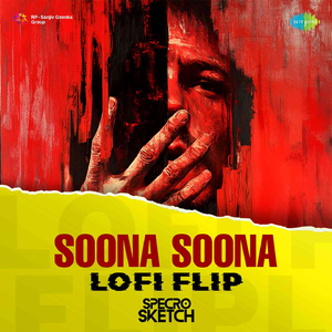 Soona Soona - LoFi Flip