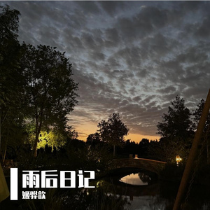 雨后日记