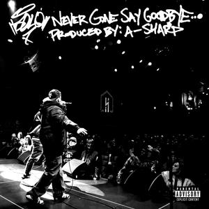 Never Gone Say Goodbye