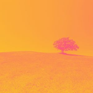 一尘不染下班后按摩印象数