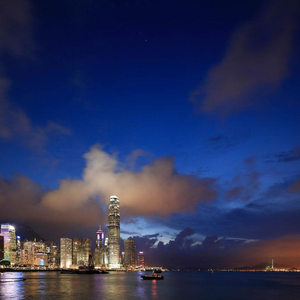 须尽欢（抖音完整版）