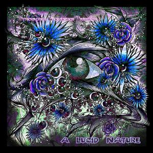 See What i See Hear What I Hear (Tor.ma In Dub Remix)