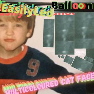 Multicoloured Cat Face