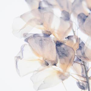 Coal (Slowed Cover - I've Seen Heaven Without Dying)