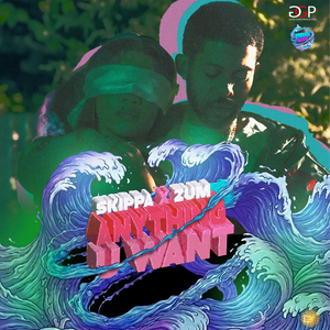 Anything U Want (Radio Edit)