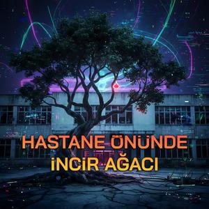 Hastane Önünde İncir Ağacı