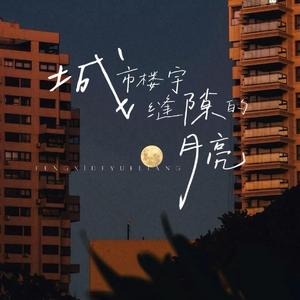 城市楼宇缝隙的月亮