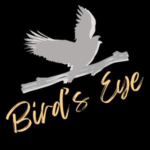 Bird's Eye (feat. Vxlious)